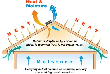 Diagram of attic airflow through soffit vents and a ridge vent
